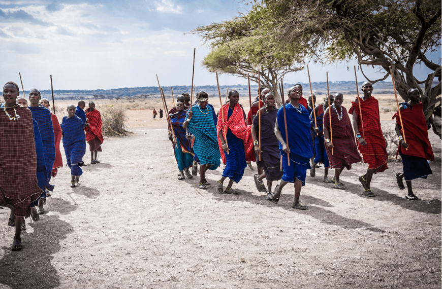 African Nation Are Strugling To Save Their Wildlife